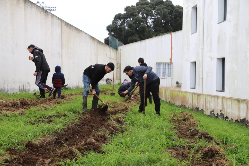 Jovens de Ponta Delgada, Ribeira Grande e Povoação junta-se a projeto de reflorestação no centro Pastoral Pio XII